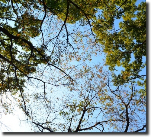 cmanjp_20141030215319.jpeg