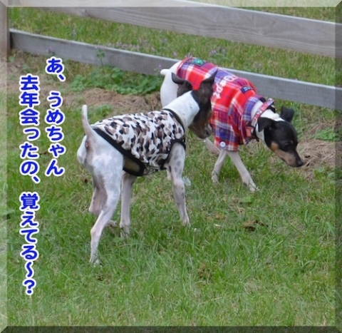 cmanjp_20141104214002.jpeg