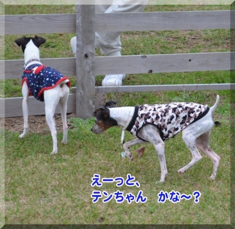 cmanjp_20141104214022.jpeg