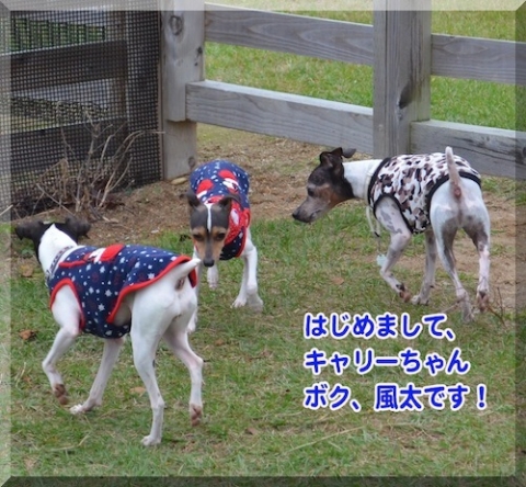 cmanjp_20141104214057.jpeg