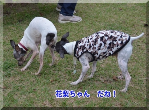 cmanjp_20141104220013.jpeg