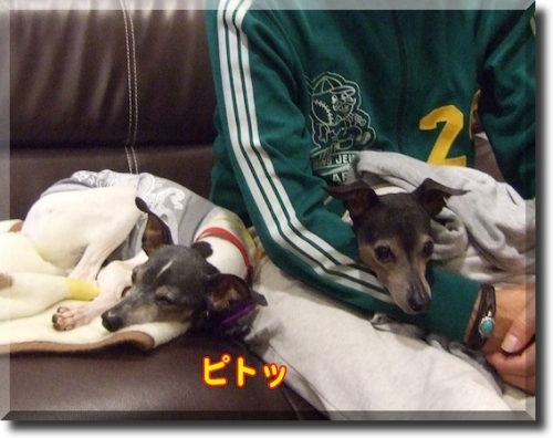 cmanjp_20141106155349.jpeg