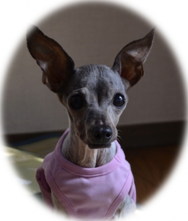 cmanjp_20141112165828.jpeg