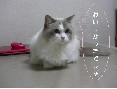 CIMG1390-hーj_convert_20120519215059