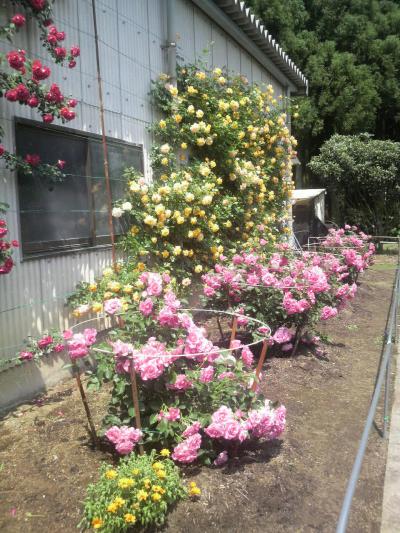 2012051613560001.jpg