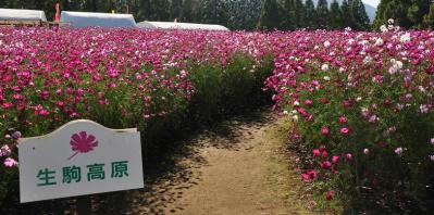 生駒