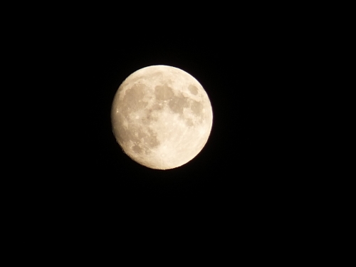 S_DSCF8431.jpg