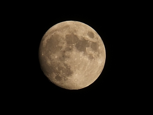 S_DSCF8432.jpg