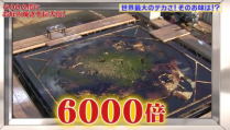 リンカーンの巨大お好み焼き