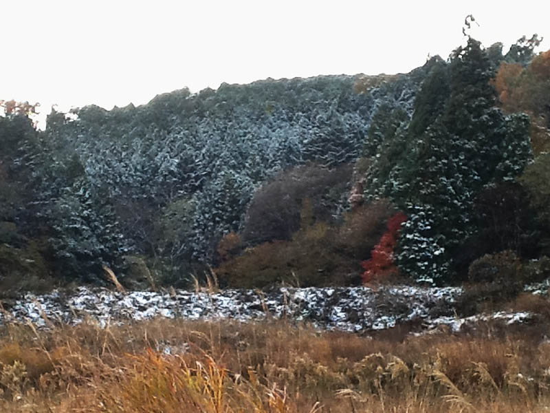 雪 1
