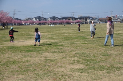 DSC_3212 (400x265)