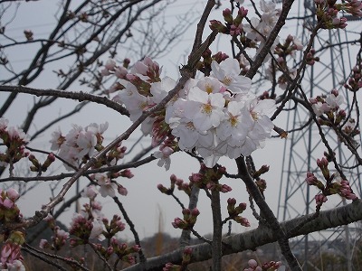 DSCN2130.jpg