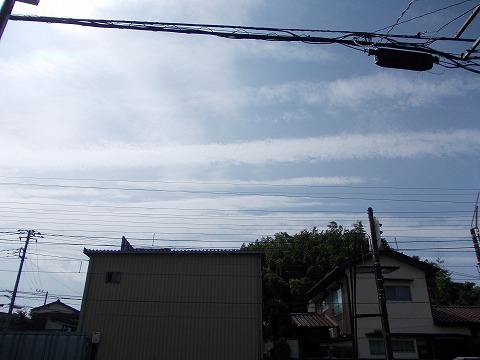 DSCN2135.jpg