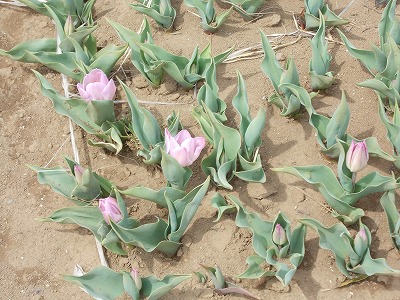 DSCN2138.jpg