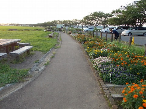 DSCN2139.jpg