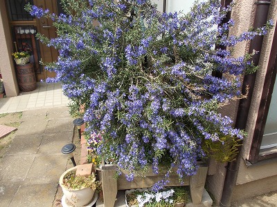 DSCN2144.jpg