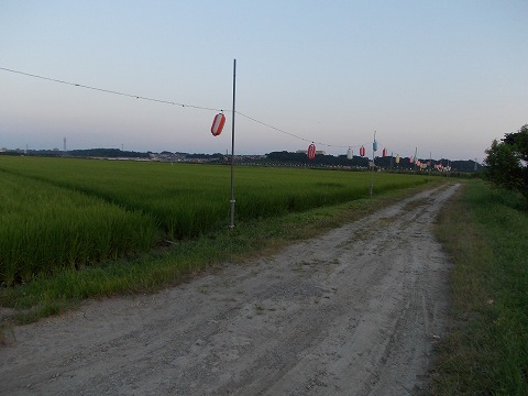 DSCN2147.jpg