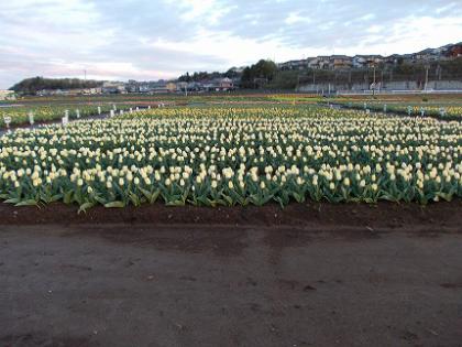 DSCN2198.jpg