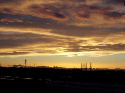 DSCN2203.jpg