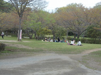 DSCN2225.jpg