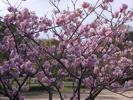 DSCN2235.jpg