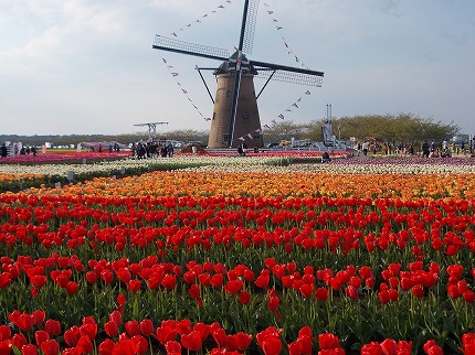 DSCN2251.jpg