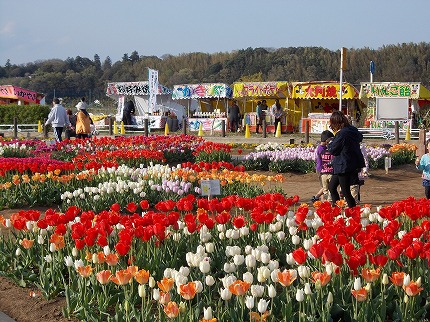 DSCN2253.jpg