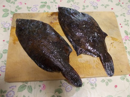 DSCN2255.jpg