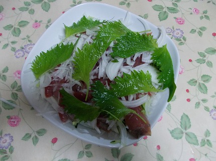 DSCN2258.jpg