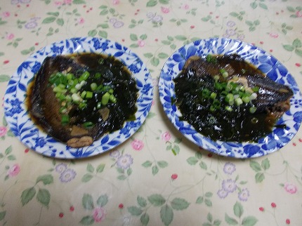 DSCN2259.jpg