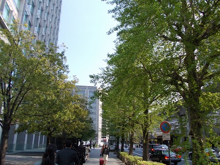 DSCN2260.jpg