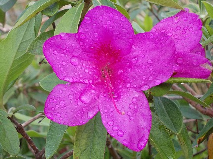 DSCN2277.jpg