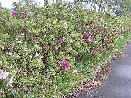 DSCN2279.jpg