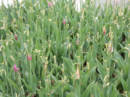 DSCN2286.jpg