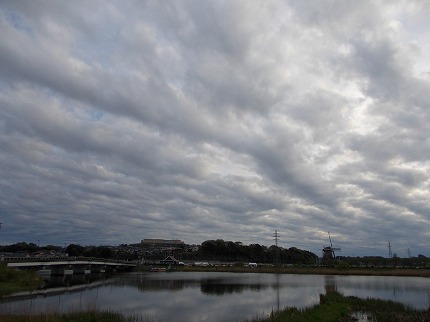 DSCN2288.jpg