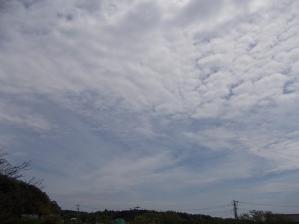 DSCN2317.jpg