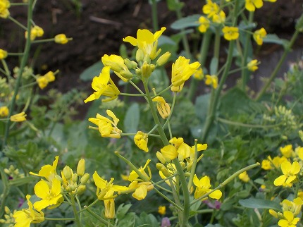 DSCN2320.jpg