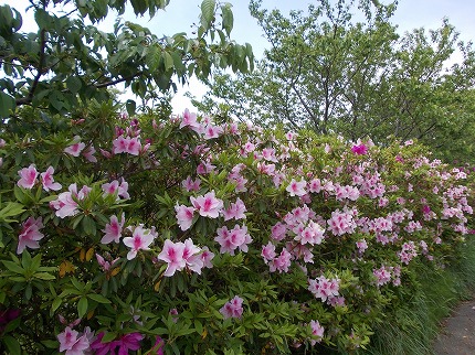 DSCN2323.jpg