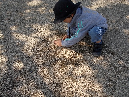 DSCN2389.jpg