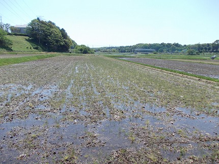 DSCN2396.jpg