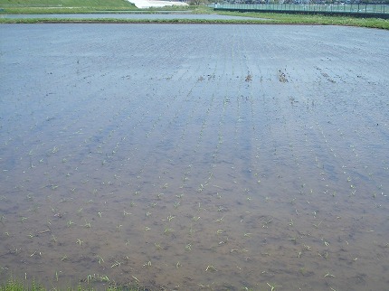 DSCN2398.jpg
