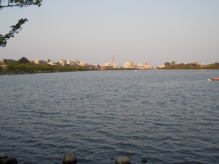 DSCN2564.jpg