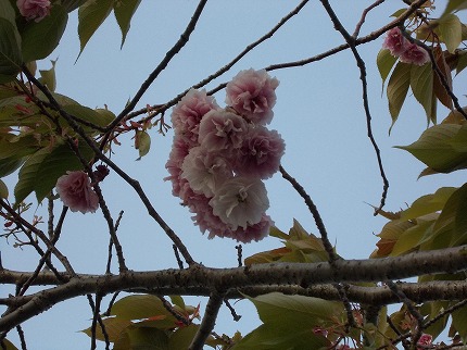 DSCN2566.jpg