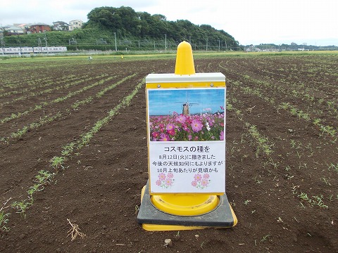 DSCN2607.jpg