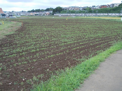 DSCN2609.jpg