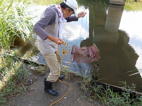 DSCN2614.jpg
