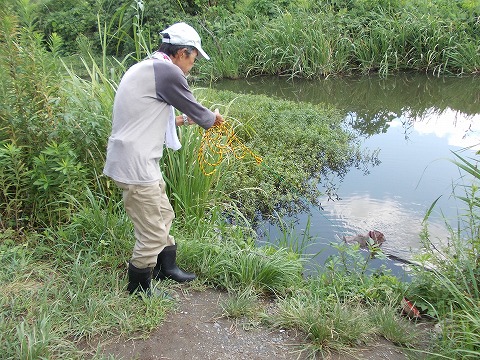 DSCN2616.jpg