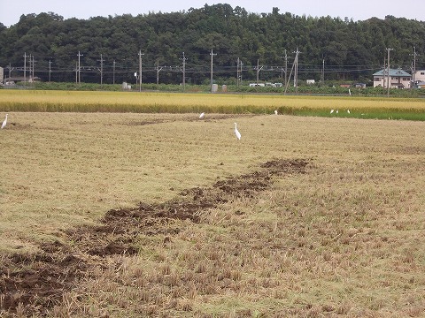DSCN2633.jpg