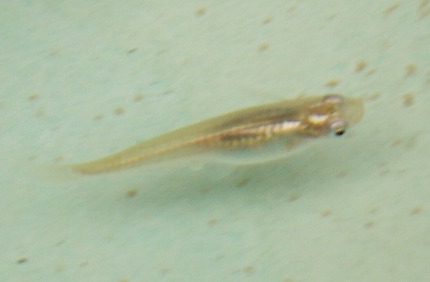 DSCN2639.jpg