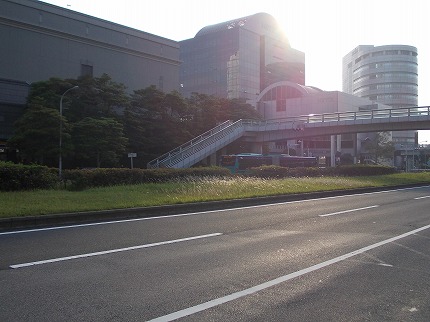 DSCN2646.jpg